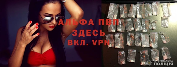 герыч Новозыбков