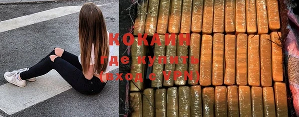 МДПВ Нея