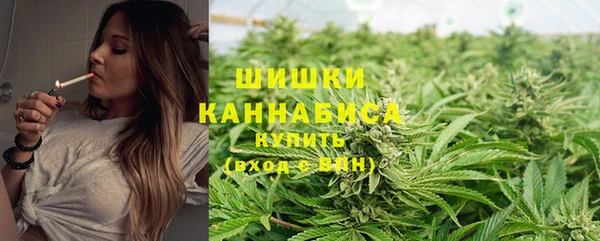 apvp Новодвинск