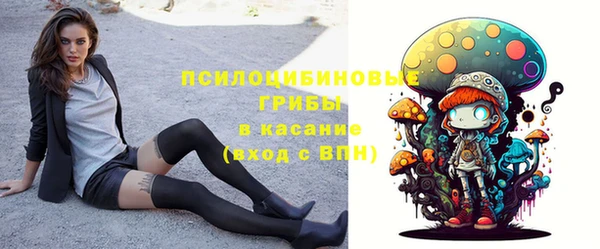 apvp Новодвинск