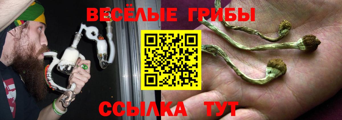 Галлюциногенные грибы ЛСД Стрежевой